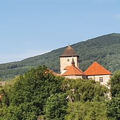 Obrázek