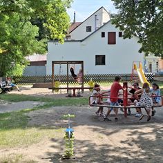 Obrázek