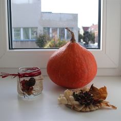 Obrázek